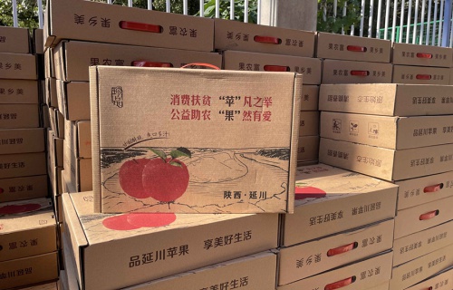 长龄液压“扶贫助农，振兴乡村”活动
